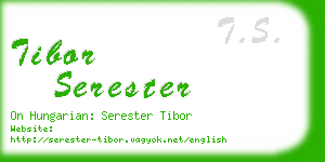 tibor serester business card